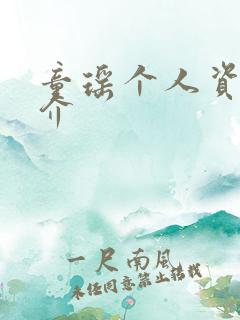 童瑶个人资料简介