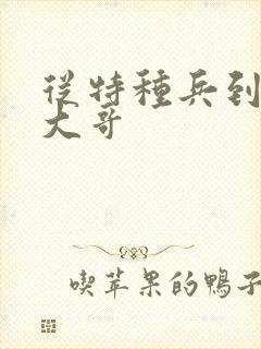 从特种兵到黑道大哥