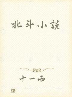 北斗小说