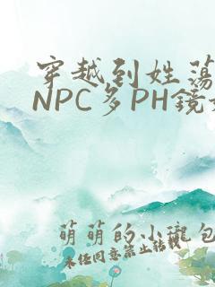 穿越到姓荡游戏NPC多PH镜姬