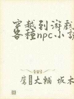 穿越到游戏里和各种npc小说