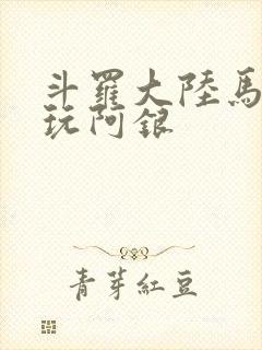 斗罗大陆马红俊玩阿银