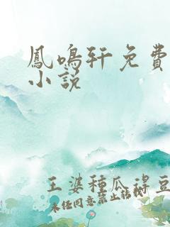凤鸣轩免费言情小说