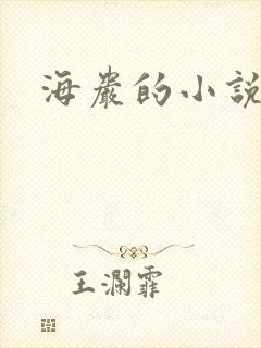 海岩的小说