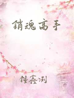 销魂高手