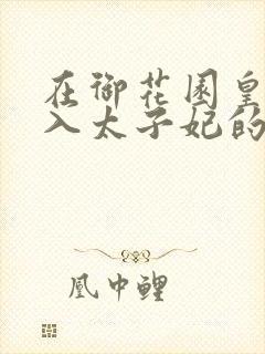 在御花园皇上进入太子妃的小说