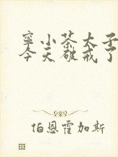 宁小茶太子殿下今天破戒了吗免费阅读