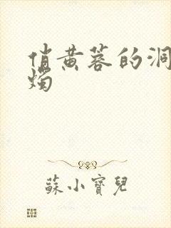 俏黄蓉的洞房花烛