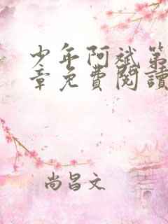 少年阿斌第13章免费阅读