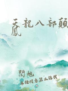 天龙八部颠龙鸾凤