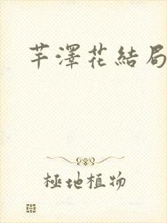 芊泽花结局