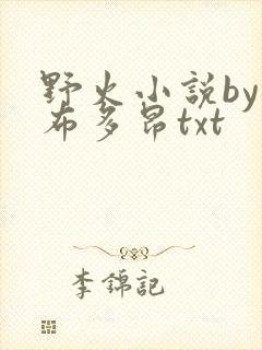 野火小说by夏布多昂txt
