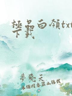 极品白领txt下载