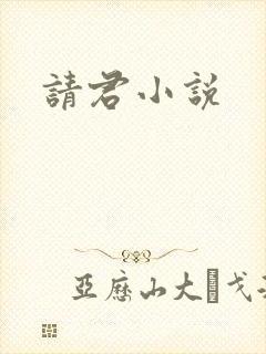 请君小说