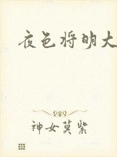 夜色将明大结局