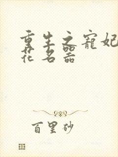 重生之宠妃白莲花名器