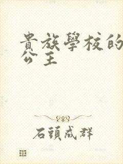 贵族学校的双面公主