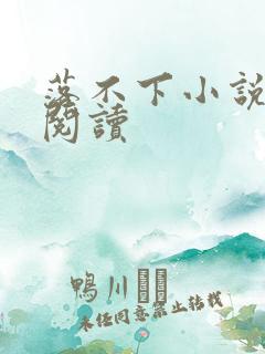 落不下小说全文阅读