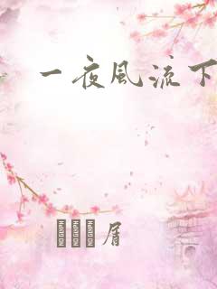 一夜风流下载