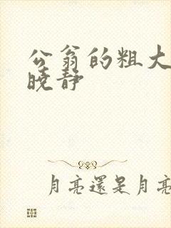 公翁的粗大放进晓静