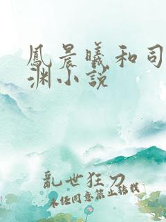 凤晨曦和司鸿颜渊小说