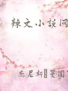 辣文小说网