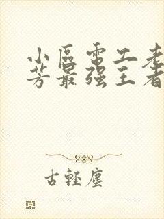 小区电工老周刘芳最强王者