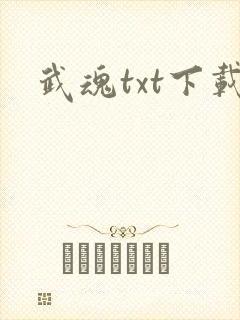 武魂txt下载