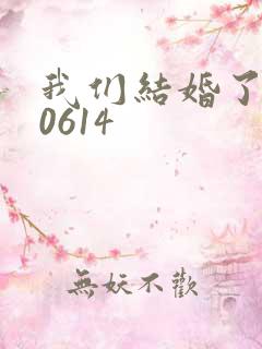 我们结婚了130614