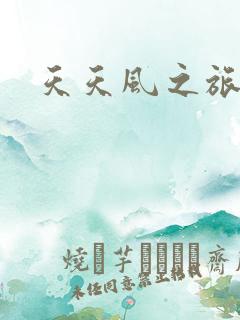 天天风之旅辅助