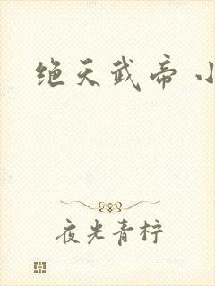 绝天武帝 小说