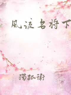 风流名将下载