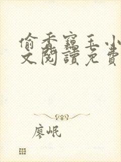 偷香窃玉小说全文阅读免费