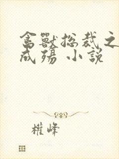 禽兽总裁之虐爱成殇 小说