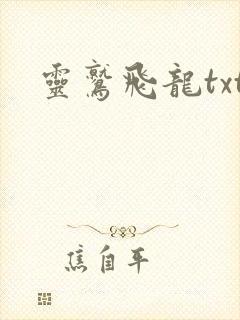 灵鹫飞龙txt