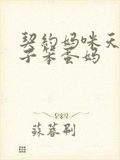 契约妈咪天才儿子笨蛋妈