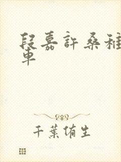 段嘉许桑稚浴室车