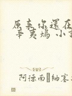 原来你还在这里 辛夷坞 小说