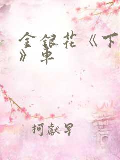 金银花《下厨房》车