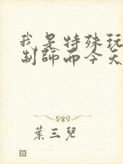 我是特殊玩具定制师而今天的客户