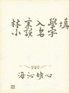 林寒入学填未婚小说名字