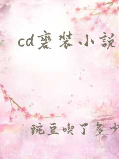 cd变装小说