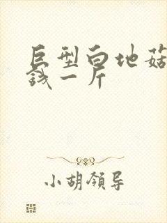 巨型白地菇多少钱一斤