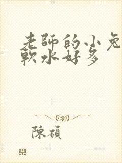 老师的小兔子好软水好多
