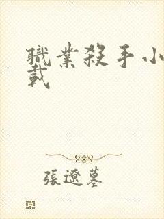 职业杀手小说下载