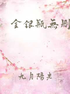 金银瓶无删除