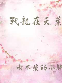 战龙在天叶凡