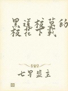 黑道校草的黑道校花下载