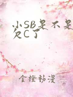 小SB是不是又欠C了