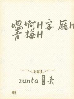 嗯啊H客厅HH青梅H
